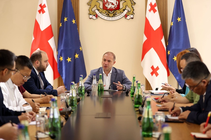გივი მიქანაძე ლანჯოუს უნივერსიტეტისა და კონფუცის ინსტიტუტის დელეგაციას შეხვდა